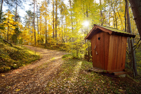 Modern wooden WC cabin in a golden forest (national park), close-up. Autumn landscape. Seasons, ecology, ecotourism, environmental conservation, architectureの写真素材
