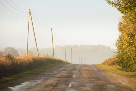 An old country asphalt road through the village and fields to the forest. Electricity line close-up. Autumn rural scene. Transportation, agriculture, farm, ecology. countryside, ecotourism, road tripの写真素材