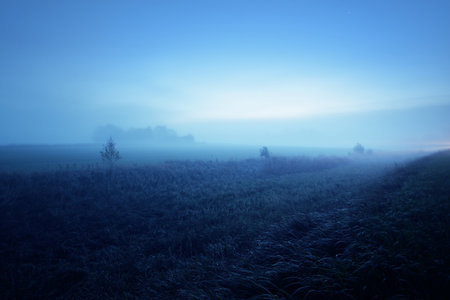 Plowed agricultural field with tractor tracks at sunrise. Moonlight, stars, fog, haze, clear blue sky. Atmospheric autumn landscape. Idyllic rural scene. Pure nature, ecology, seasons, nightの写真素材