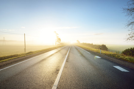 Panoramic view of the highway (new asphalt road) through the country agricultural field and forest in a fog at sunrise. Pure golden light, clear sky. Transportation, vacations, driving, freedom themesの写真素材