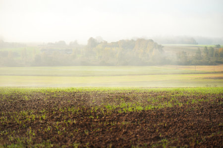 Green hills, plowed agricultural field with tractor tracks and forest at sunrise, close-up. Golden...