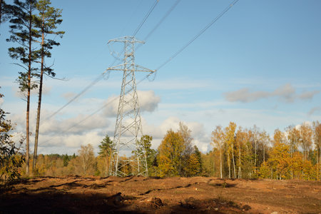 Electricity power line in a pine forest, close-up. Concept urban landscape. Energy, power...