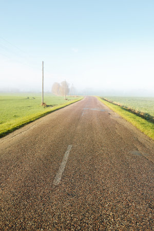 An old country asphalt road through the village and fields to the forest. Electricity line close-up. Autumn rural scene. Transportation, agriculture, farm, ecology. countryside, ecotourism, road tripの写真素材