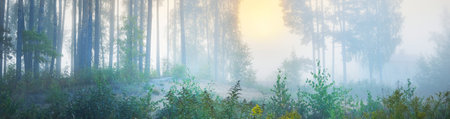 Panoramic view of majestic evergreen pine forest in a morning fog. Ancient tree silhouettes...