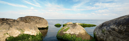 Sandy shore of the Baltic sea on a sunny summer day. Stones and green algae close-up. Clear blue sky with cirrus and cumulus clouds. Idyllic landscape. Recreation theme. Germany. Panoramic viewの写真素材