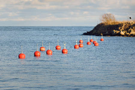 Orange mooring buoys in the new yacht harbor (marina), close-up. Water surface texture. A view from the pier. Work safety, special equipment, sailing, cruise, sport, recreationの写真素材