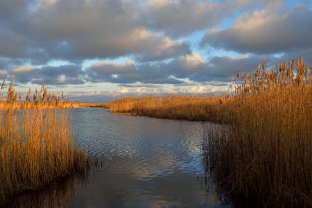 A view of the Baltic sea from a sandy shore. Clear sunset sky, glowing clouds, soft golden light....