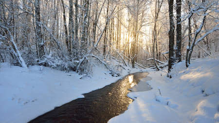 Small frozen forest river in a frame of snow-covered trees, hoarfrost on branches. Sunset light....