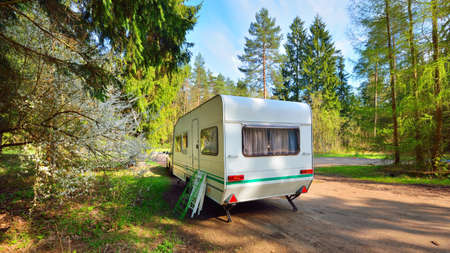 White caravan trailer in a green forest, blooming white tree, sunny spring day. Transportation, road...