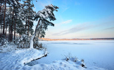 Picturesque panoramic view of the frozen snow-covered forest lake at sunset. Winter wonderland. Christmas vacations, ecotourism, seasons, nature, landscape, environment, climate changeの写真素材