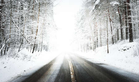 Snow-covered empty highway (new asphalt road) after cleaning. Alley of pine and fir trees in a hoarfrost. Winter wonderland, blizzard. Christmas vacations, travel destinations, dangerous drivingの写真素材