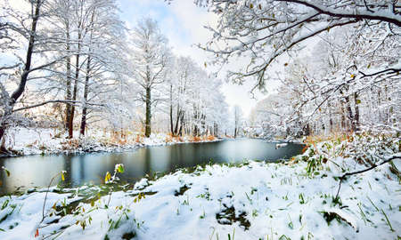 Picturesque panoramic view of the frozen snow-covered forest lake. Colorful autumn leaves, hoarfrost...