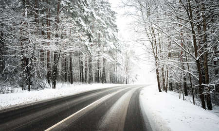 Snow-covered empty highway (new asphalt road) after cleaning. Alley of pine and fir trees in a hoarfrost. Winter wonderland, blizzard. Christmas vacations, travel destinations, dangerous drivingの写真素材