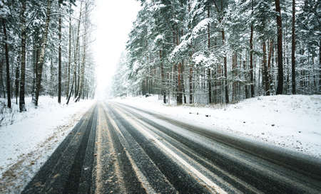 Snow-covered empty highway (new asphalt road) after cleaning. Alley of pine and fir trees in a hoarfrost. Winter wonderland, blizzard. Christmas vacations, travel destinations, dangerous drivingの写真素材