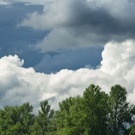 Cloudscape with ornamental clouds and a forest lake. Idyllic summer landscape. Seasons, nature, weather, ecology, environmental conservationの写真素材