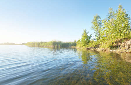 Panoramic view of the lake in a green birch tree forest. Sandy beach. Sunny summer day. Clear blue sky, symmetry reflections on water. Rural scene. Latvia, Europe. Nature, ecology, ecotourismの写真素材