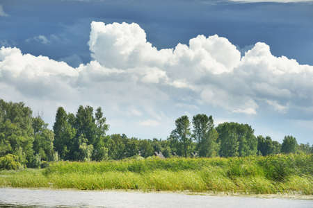 Epic cloudscape. White fluffy cumulus clouds above the forest lake. Netherlands. Fickle weather....