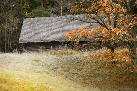 An old traditional wooden house (log cabin) in a majestic evergreen forest. Golden trees, green grass covered with hoarfrost. Autumn, early winter in Europe. Nature, climate, environment, ecotourismの写真素材