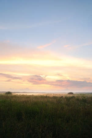 Country field in a fog at sunrise. Tree silhouettes in the background. Pure soft golden morning sunlight. Cloudscape. Idyllic rural scene. Concept art, fairy tale, unicorn colors. Panoramic viewの写真素材