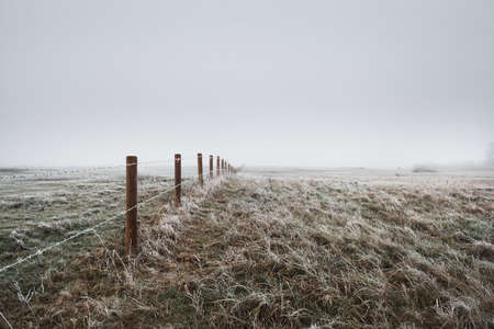 Pathway through the field in a thick white fog. Hoarfrost, first snow. Protected rural area. Picturesque panoramic view. Autumn, early winter. Pure nature, environmental conservation, ecologyの写真素材