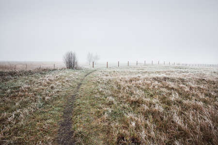 Pathway through the field in a thick white fog. Hoarfrost, first snow. Protected rural area. Picturesque panoramic view. Autumn, early winter. Pure nature, environmental conservation, ecologyの写真素材