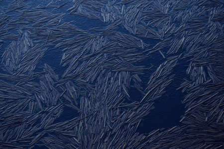 Forest lake at sunset. Cracked ice, plants. Natural pattern, texture, background, abstract art....