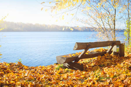 Blue river on a clear day, wooden bench close-up. Forest floor of colorful red, orange, yellow, leaves. Golden deciduous trees. Autumn in Europe. Idyllic rural scene. Nature, environment, recreationの写真素材