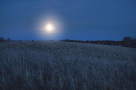 Clear blue sky above the forest meadow (crop field) at sunset. Twilight, moonrise, fog. Idyllic landscape. Rural scene. Nature, seasons, environmental conservation, ecology. Panoramic sceneryの写真素材