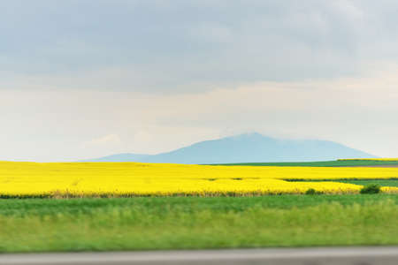 Blooming yellow rapeseed field and Silesian mountains under dramatic sky. Poland. View from car, motion blur. Picturesque scenery. Idyllic landscape. Nature, environment, travel destinations, tourismの写真素材