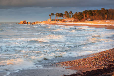 Baltic sea shore (sand dunes) at sunset. Pine forest in the background. Soft sunlight, clear sky, glowing clouds, waves. Idyllic seascape. Liepaja, Latvia. Travel destinations, ecotourism, natureの写真素材