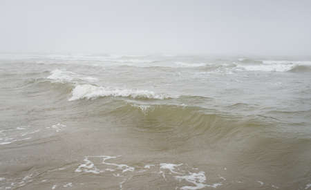 Baltic sea in a thick white fog. Waves, splashing water, storm. Natural textures. Picturesque...