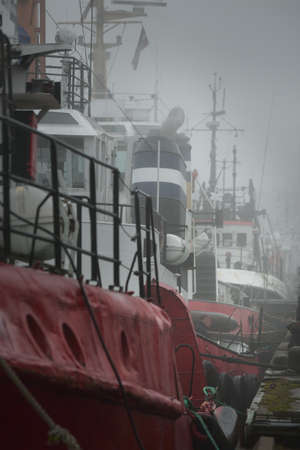 Ships, tugboats and fishing boats (trawlers) moored to a pier in a harbor. Thick white fog. Latvia, Baltic sea. Panoramic view. Service, repair, freight transportation, logistics, industry, commerceの写真素材
