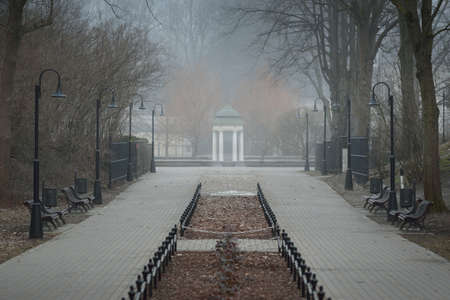Empty street (alley) in a city park. Lanterns, benches, gazebo in the background. Mighty trees in a fog, overcast day. Walking, cycling, recreation, landscaping concepts. Spring landscape, cityscapeの写真素材