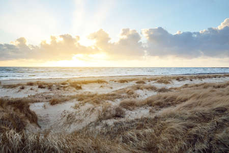 Baltic sea shore (desert, beach) under blue sky with glowing sunset clouds. Sand dunes and plants (dune grass, Ammophila). Denmark. Nature, environmental conservation, ecotourism. Picturesque sceneryの写真素材
