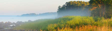 Rocks and evergreen pine forest at the coast of Kasmu (captain's village), Estonia, Baltic sea. Fog, soft golden sunlight. Panoramic view. Travel destinations, vacations, ecotourism, pure natureの写真素材