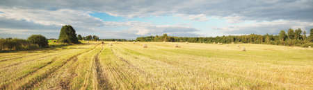 Panoramic view of the agricultural field (forest meadow) against blue sky with dramatic cumulus...