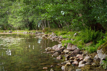Rocky lakeshore and forest on a sunny summer day. BjÃ¶rkÃ¶ island, lake MÃ¤laren, Sweden. Pure...