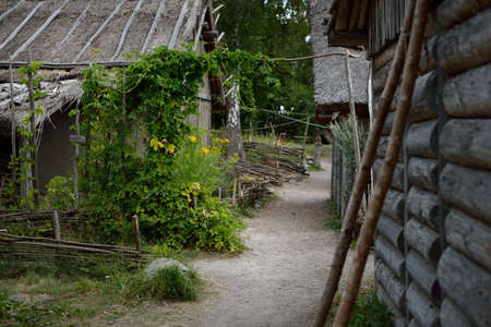 Traditional viking age village. Birka, BjÃ¶rkÃ¶ island, lake MÃ¤laren, Sweden. Wooden house (log cabin), garden. Atmospheric landscape. Landmarks, sightseeing, history, historical reenactment, craftの写真素材