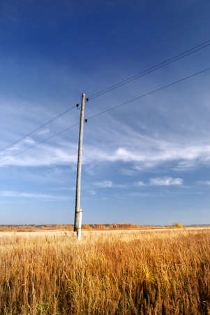 Cereal field in fall season. Latviaの写真素材