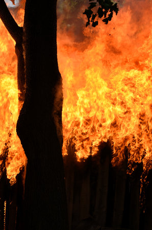 Burning wooden house close-up