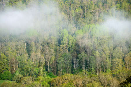 view on Gauja valley in spring in Sigulda, Latvia