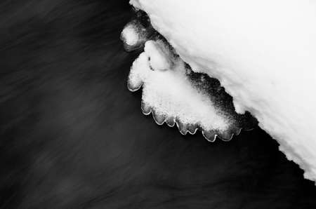 ice formations in winter stream