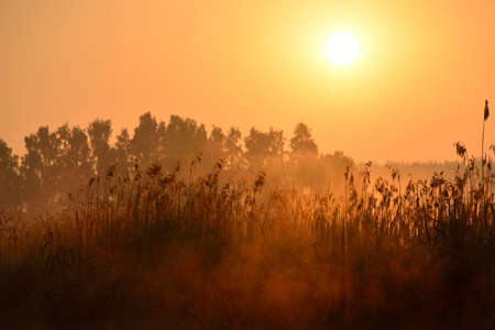 Sun and morning fog above the field in countryside area