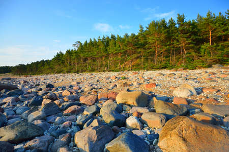 Baltic sea shore, Hiumaa island, Estonia