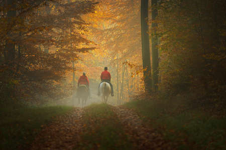 Two riders travelling on horseback through a misty autumn beech tree forest in Heidelberg, Germany