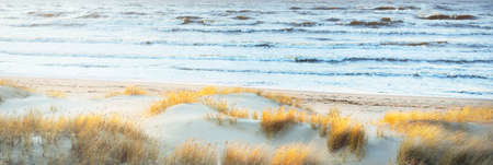 A view of the Baltic sea shore at sunset. Sand dunes and plants close-up. Colorful evening clouds. Waves and water splashes. Idyllic seascape. Latviaの写真素材