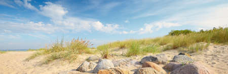 Sandy shore of the Baltic sea on a sunny summer day. Green grass and stones close-up. Clear blue sky with cirrus clouds. Idyllic seascape. Recreation theme. Germanyの写真素材