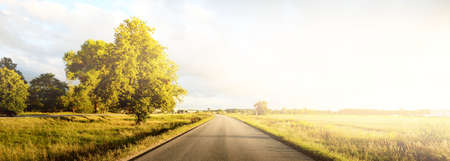 Country road through the agricultural field and forest at sunset. Dramatic sky after the thunderstorm. Early autumn in Latvia. Warm evening sunlight. Vacations, travel destinations, driving, adventureの写真素材