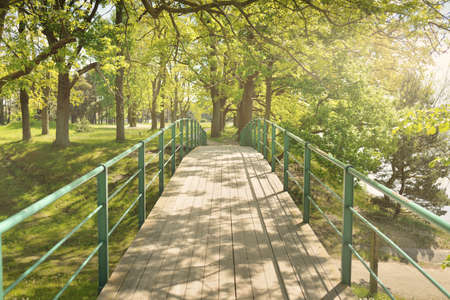 Modern wooden bridge (boardwalk) in a green deciduous forest park on a sunny spring day. Soft...