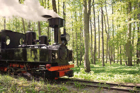 An old green train and black steam locomotive in a deciduous forest (public park). Latvia. Narrow-gauge railway, national landmarks, retro transport, history, past, historical reenactment, recreationの写真素材